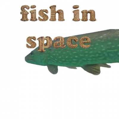 Fish In Space