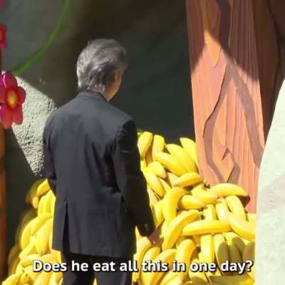 Donkey Kong scares Miyamoto 🍌🍌