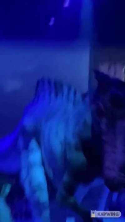 Life-size hyper-realistic dinosaur costumes in Japan arena spectacular