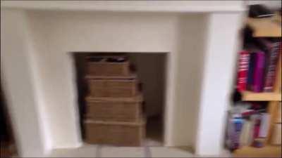 She loves Sheep. Not that keen on Dogs, though....