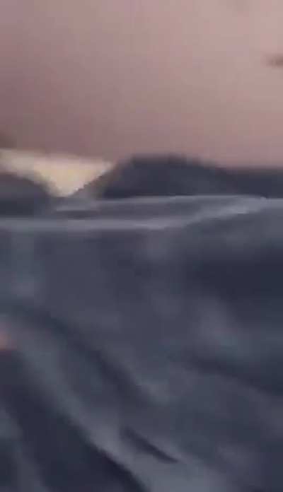 Old non entertaining. Nephew became mamichod.