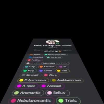 Most mentally sane discord user (Praise spez)