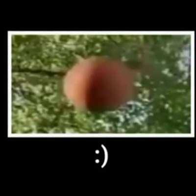 Nome da musica por favor