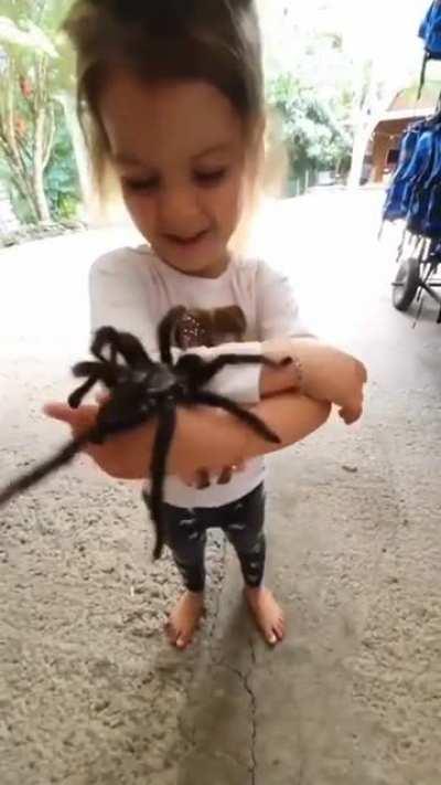 These tarantulas are her pets