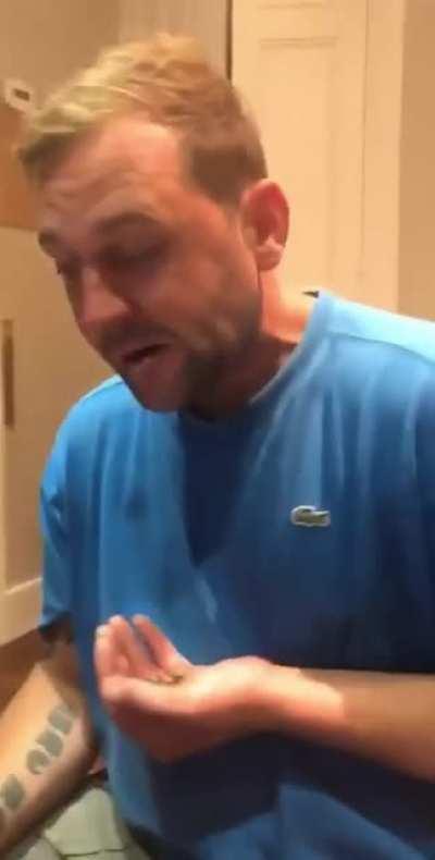 Cactus munching without being a little girl