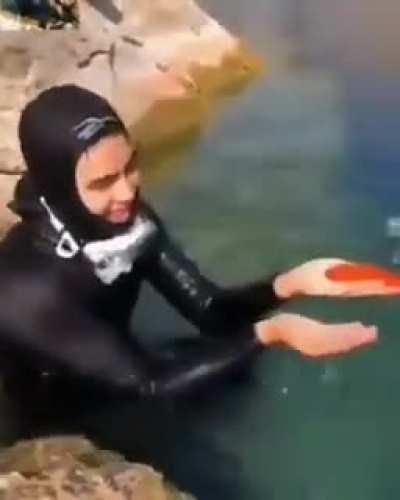 By the fish that wants to be picked up