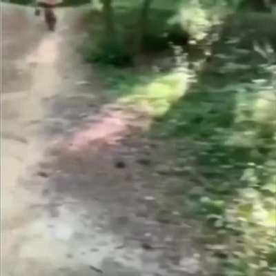 Jit took a sht. No injuries.