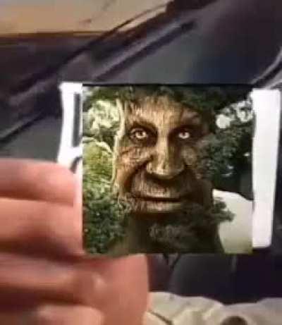 Was the Wise Mystical Tree right for saving this man's life?