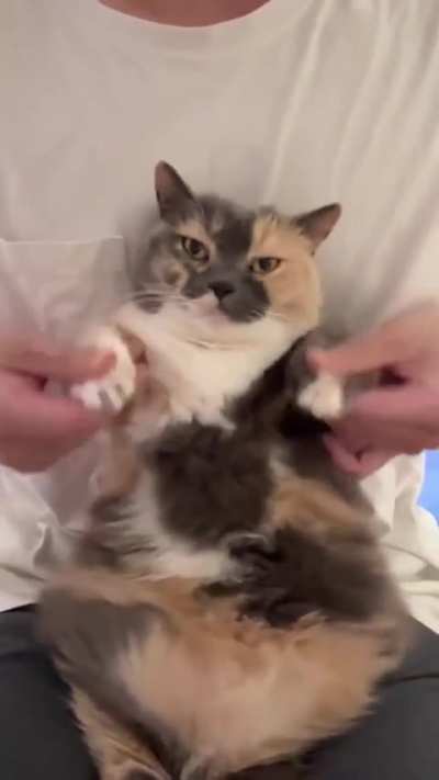 his audition for the jabbawunkeez