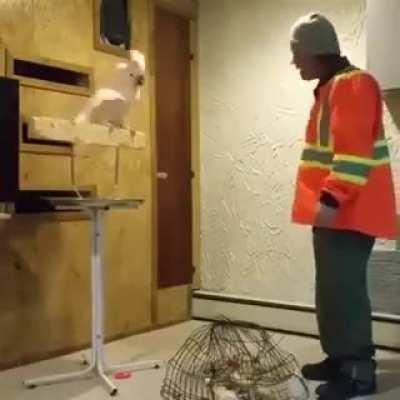 He shouldn't have done that...