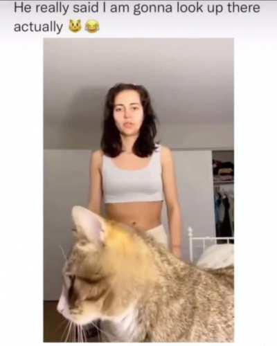 they say he’s still there, looking.