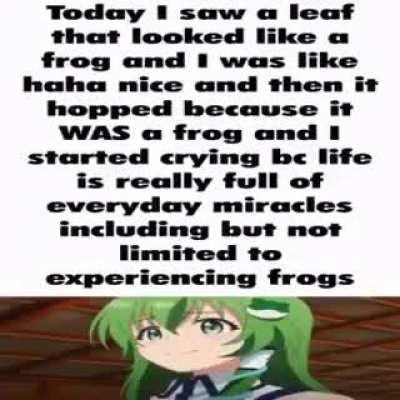 Frog day