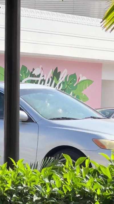 Always in the streets