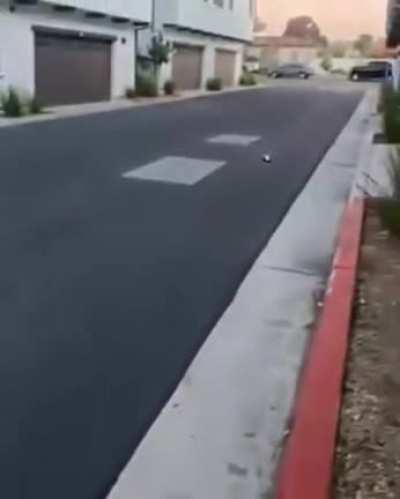 RC Car stunt doesn't go as planned