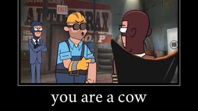 You are a cow