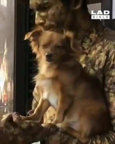 Acting dog doin a acting