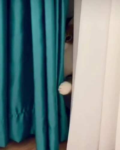 Mr. McCreeper Strikes Again