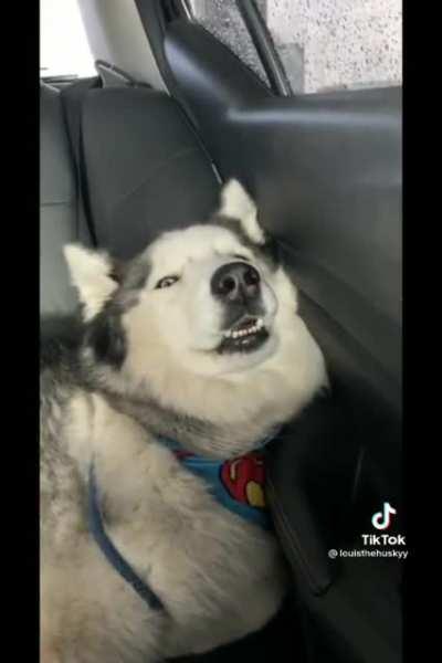 She's not very photogenic