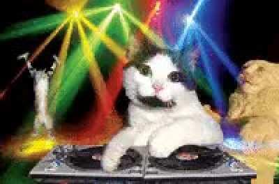 What a teribel day to have eyes ( I know I spelt somthing wrong so you don't need to say anything )