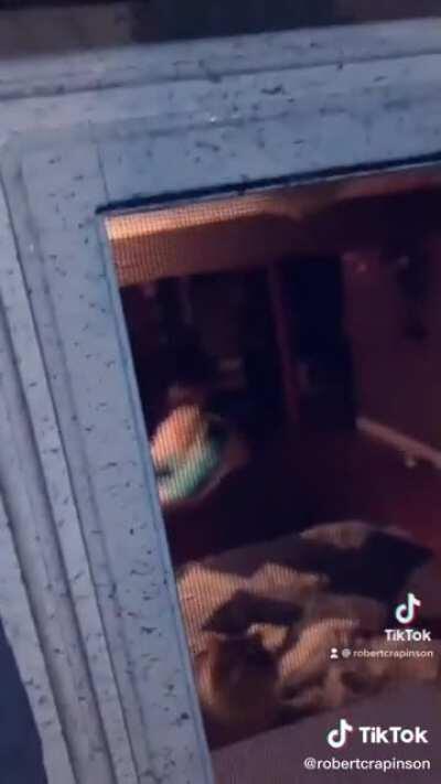 Who DOESN’T have the urge to fart into unsuspecting people’s homes?