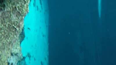 Beautiful bedrock abyss - Tulum, Mexico