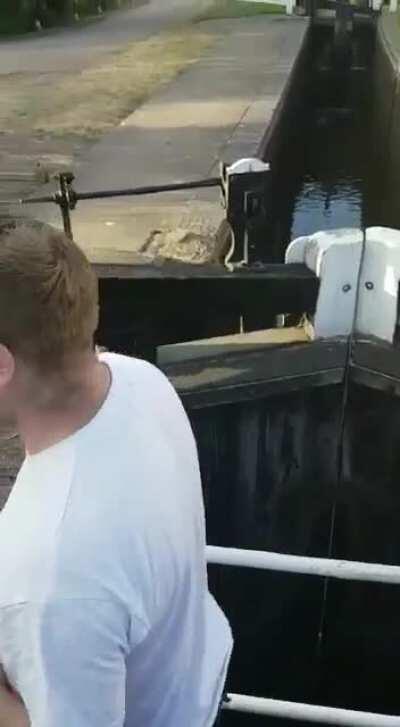 You’ve measured it, your so called friends are certain you’ll make it, WCGW?