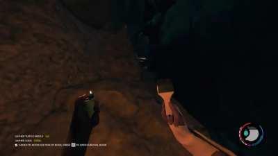 In padure cu retardatii (da frt f amusant)