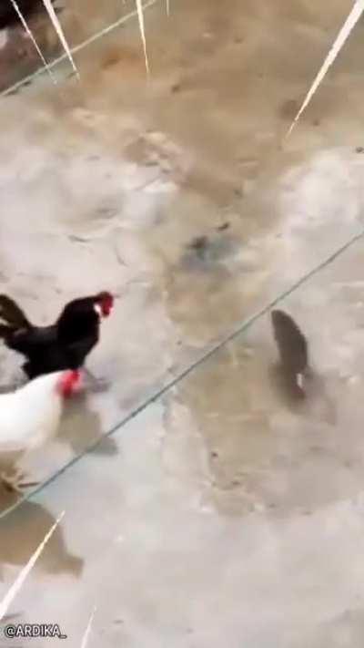 Top 10 anime fights 🔥