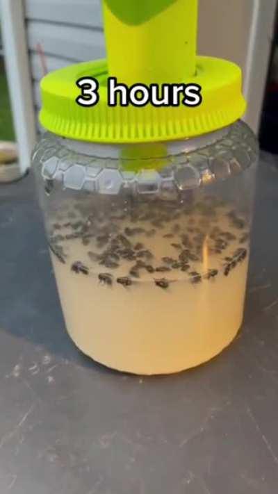 Everyone needs one of these I’m telling you!!