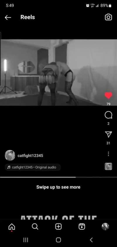 A new search for Mexican Catfights 