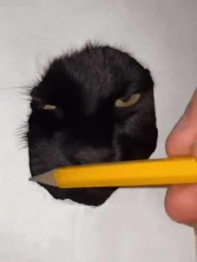 The way the artist draws this realistic picture of a cat