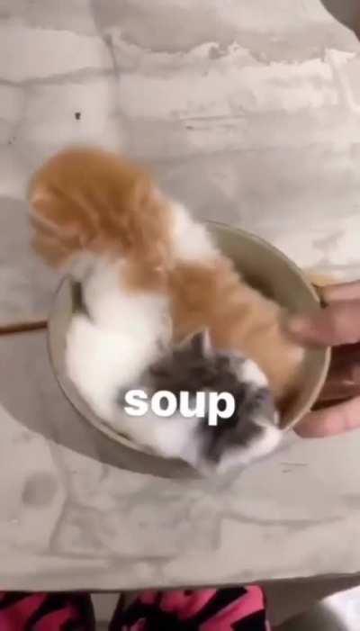 Soup
