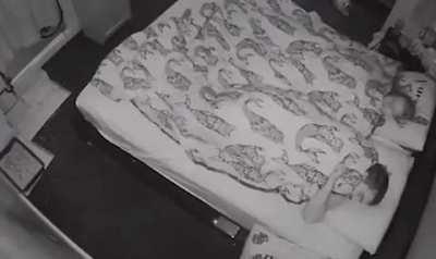 Trying to sleep with a loose rabbit in the house....