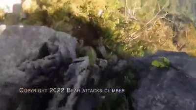 Mountain climber fending off a bear…