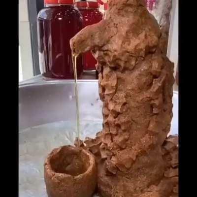 Bruh moment bir video olsaydı bu olurdu