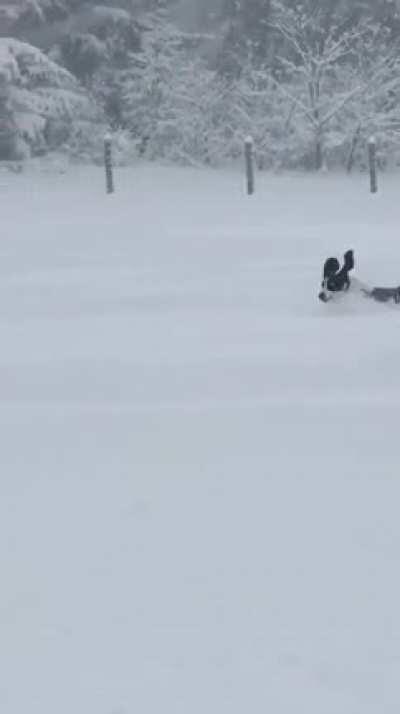 I cant stop watching!