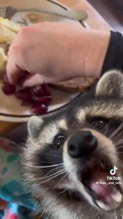 No grape Mom, only egg toast!