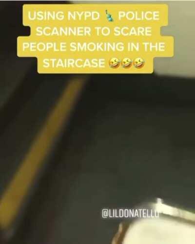 How to get rid of pests in your NYCHA building