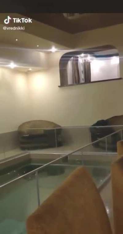 To belly flop in the pool