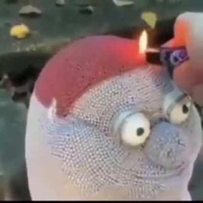 At the Lois point of life