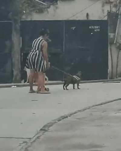 And That's The Last We Saw of Little Eddy