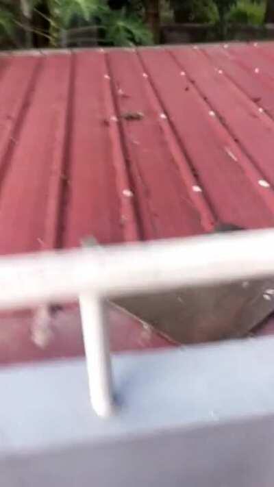 WCGW Not listening to your parents