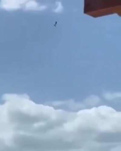 Not gonna lie, looks terrifying and fun..