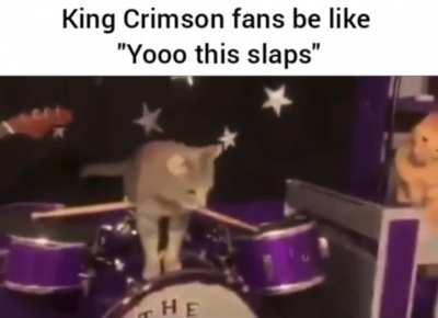 Cat Fripp Cat Fripp Cat Fripp again!