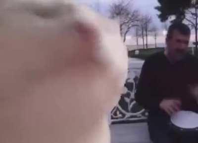 Enjoy some chill buddy..