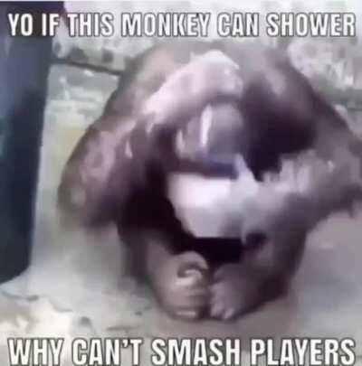 Not real, monke can play smash