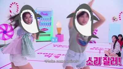 Sana shark (ft. Mina)