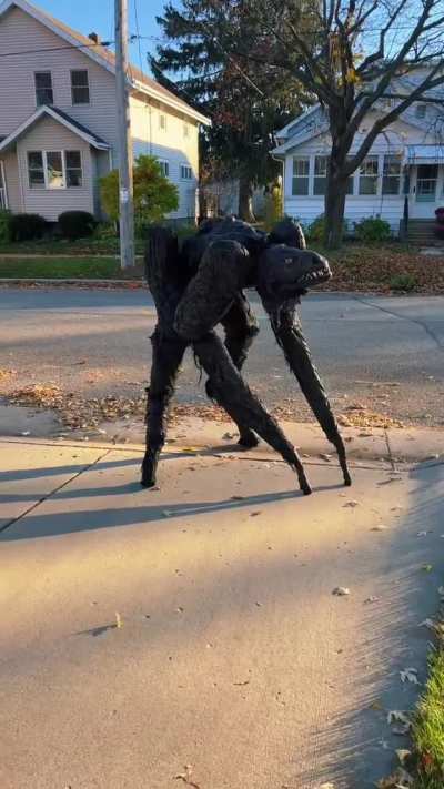 Imagine seeing this walk down your street at night