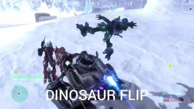 D i n o s a u r f l i p