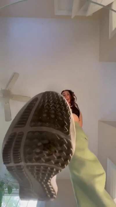 Underglass cricket crush